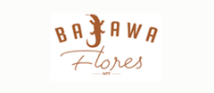 Bajawa Stores